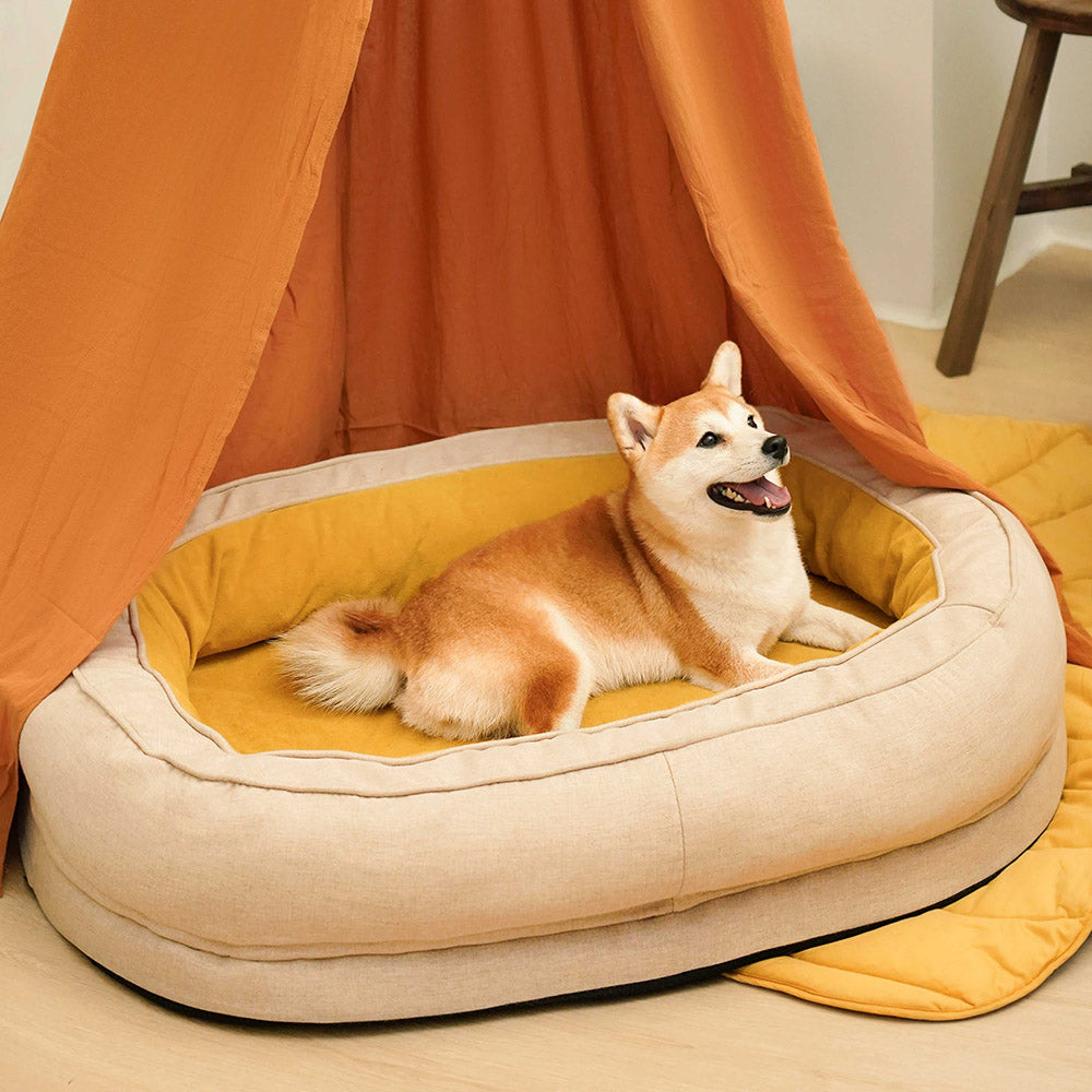 lit chien matériaux premium
