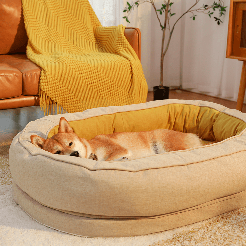 lit orthopédique pour chien