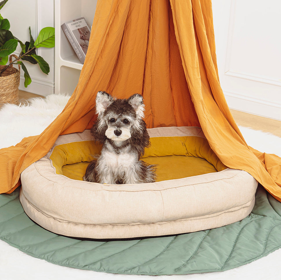 couchage chien moelleux