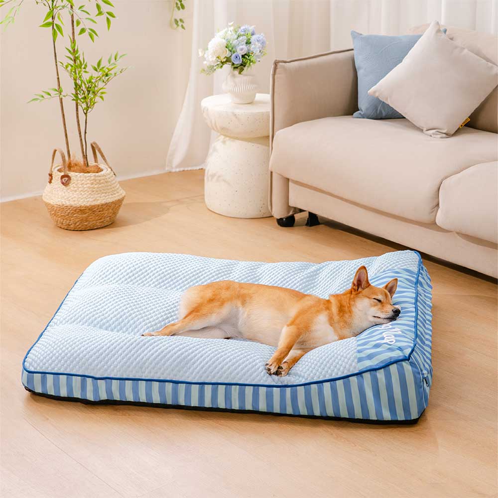 comfort chien par temps chaud