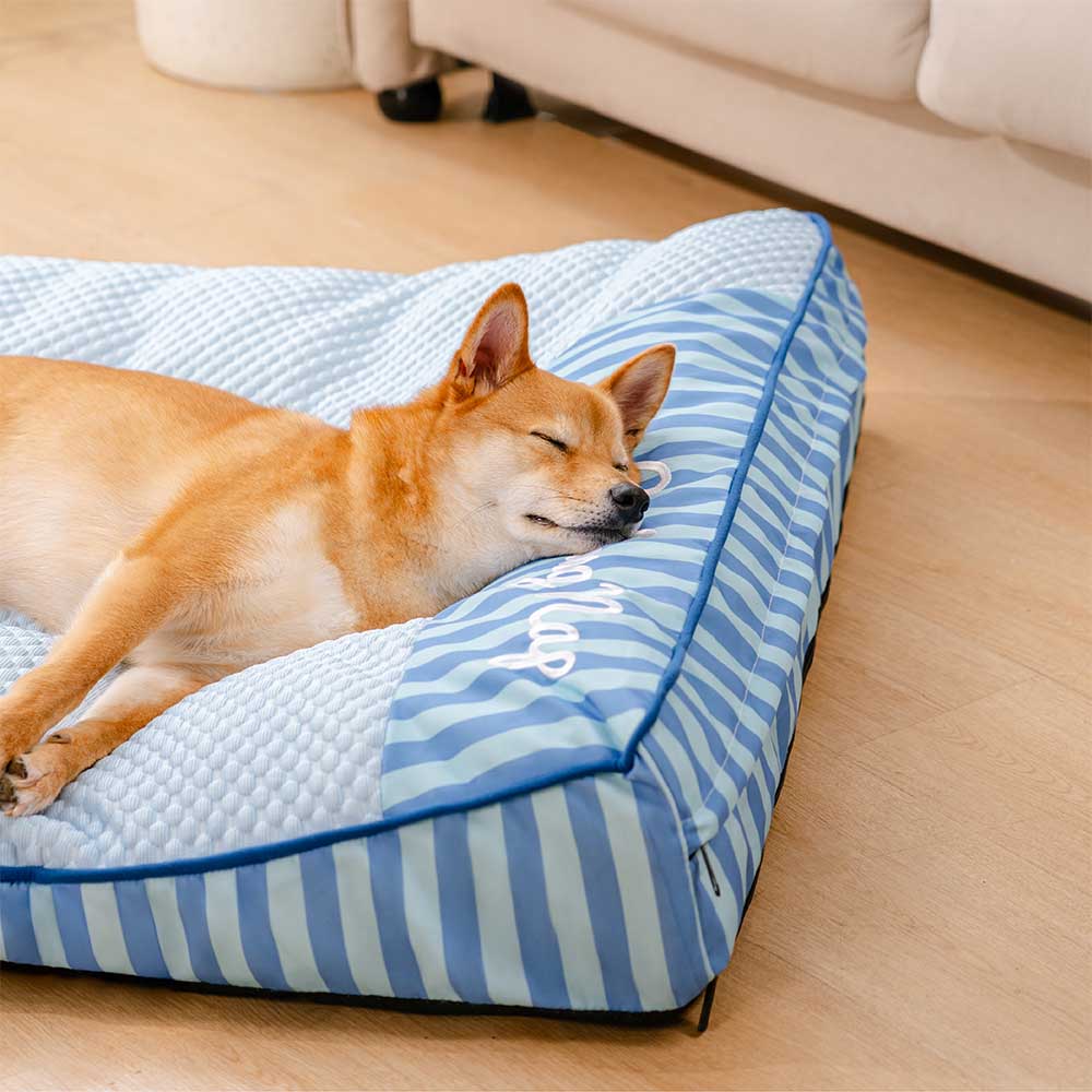 lit orthopédique chien grand