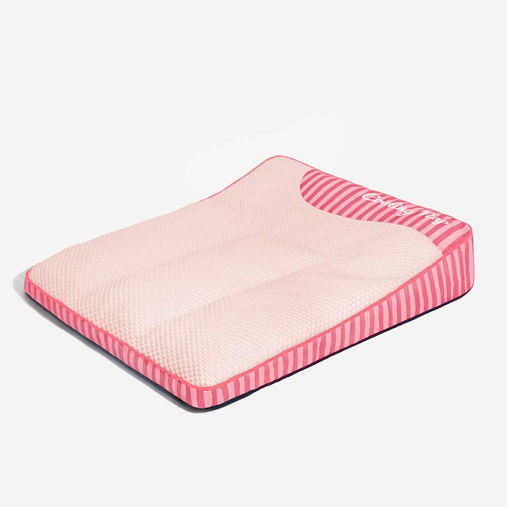 lit extra large pour chien