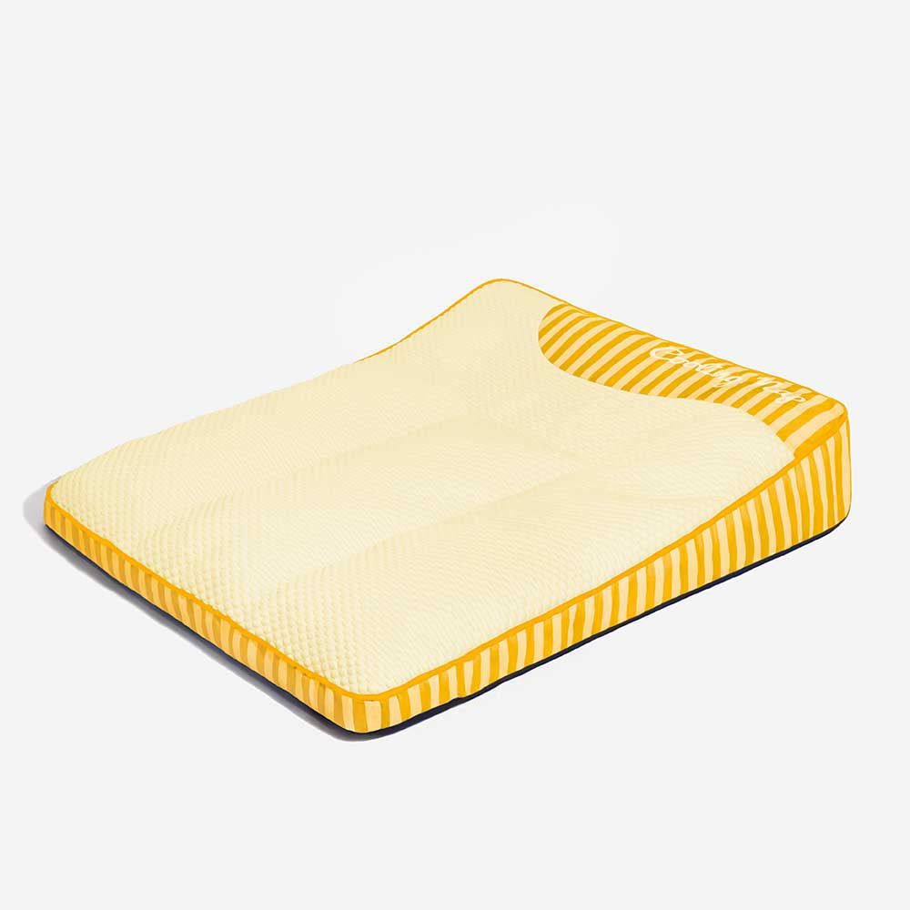 housse lavable pour lit chien