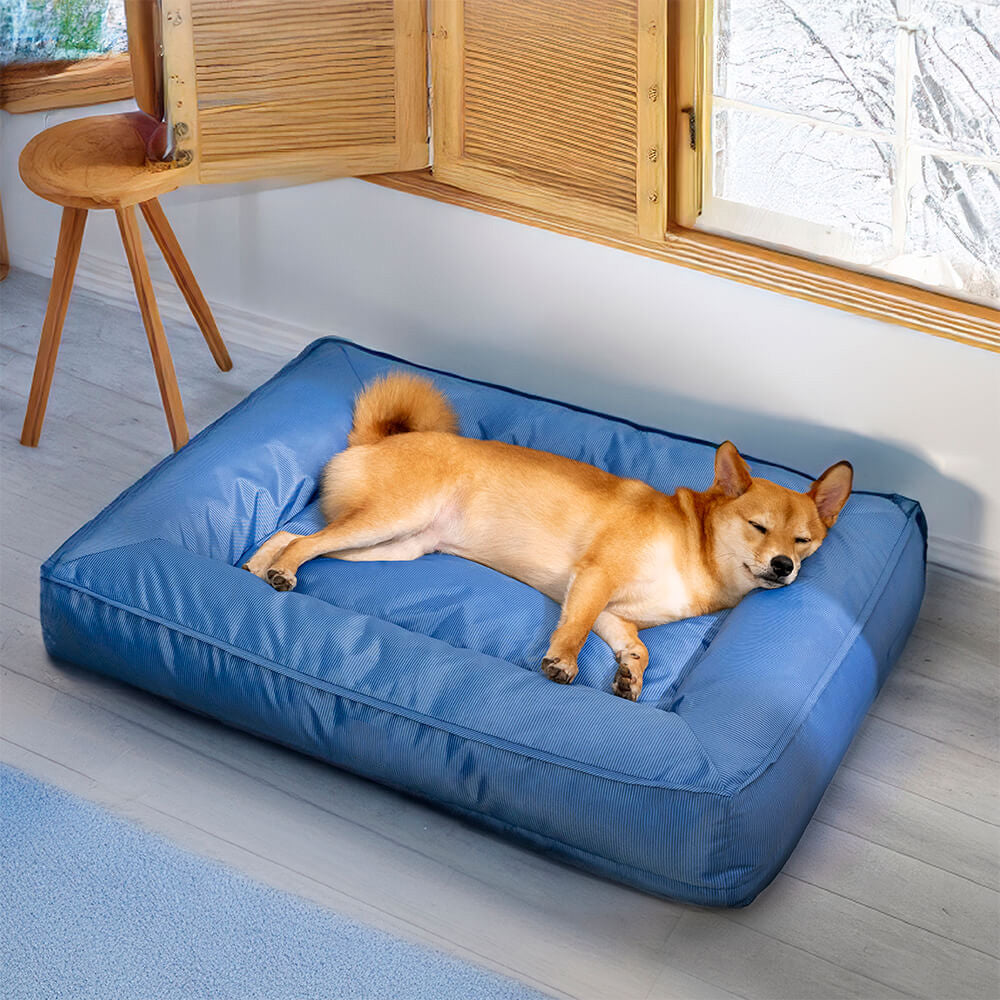 confort pour grand chien