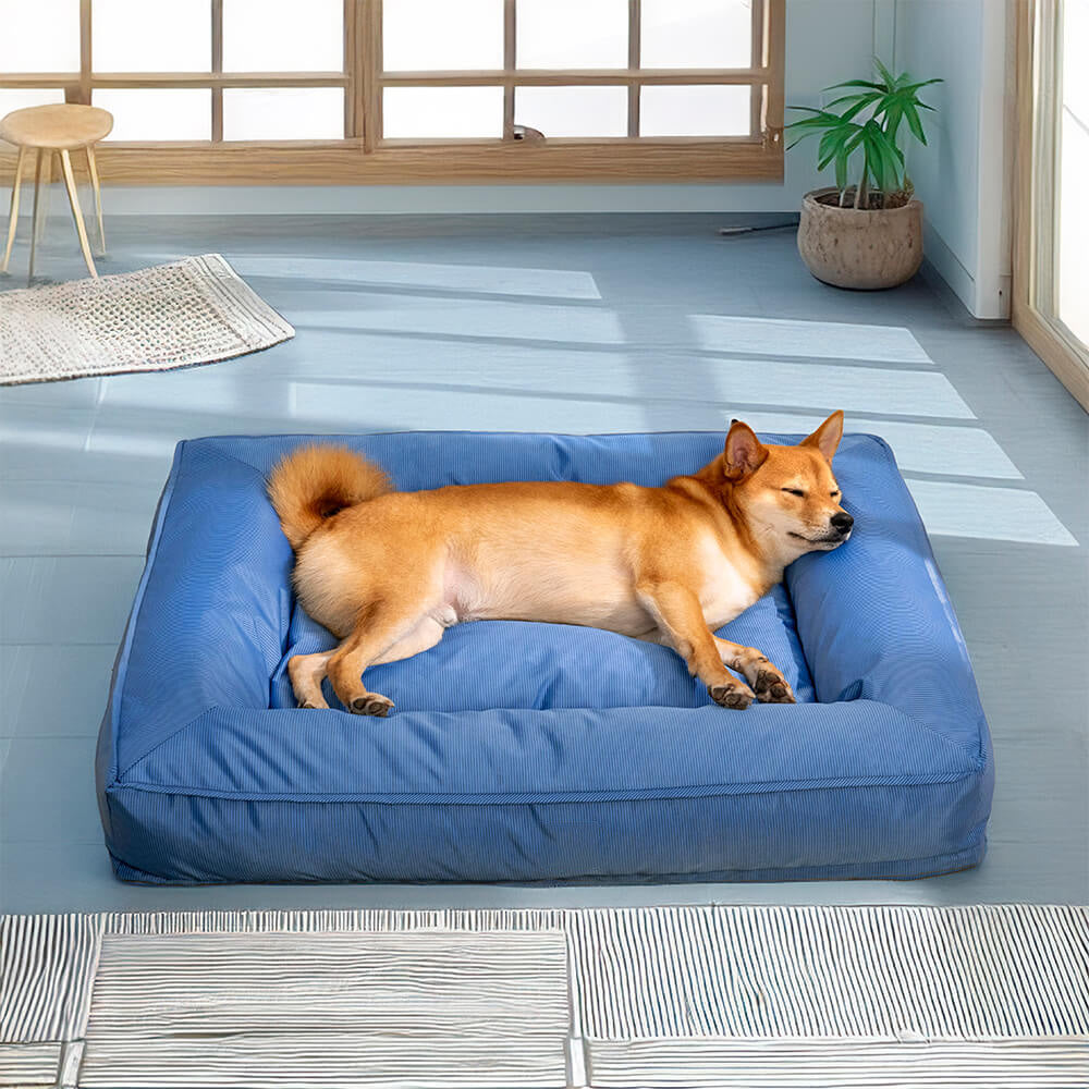 housse lavable chien