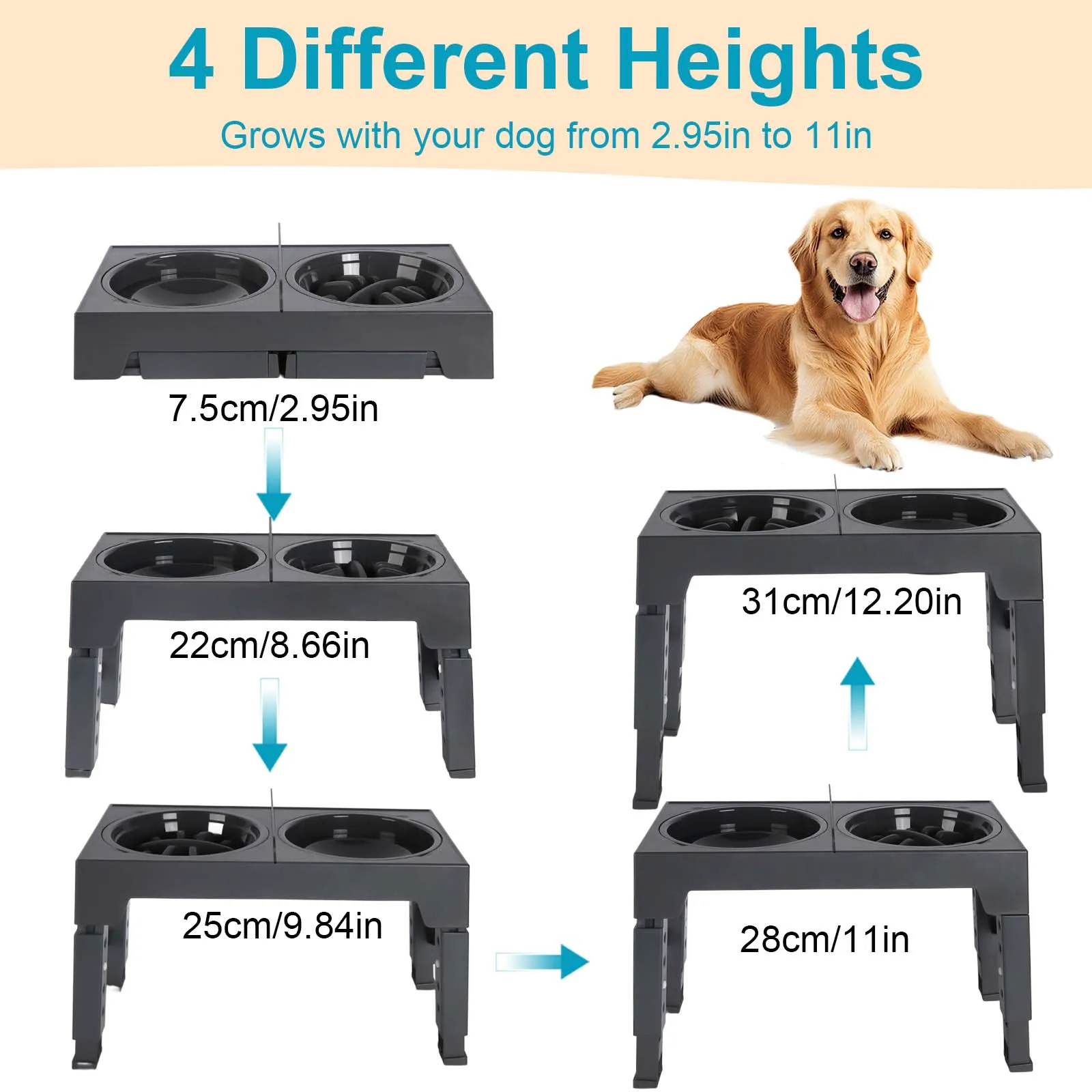 Gamelle Surélevée Réglable pour Chien avec Bols Inox – Support Anti-Glouton et Confort de Repas – Image 7