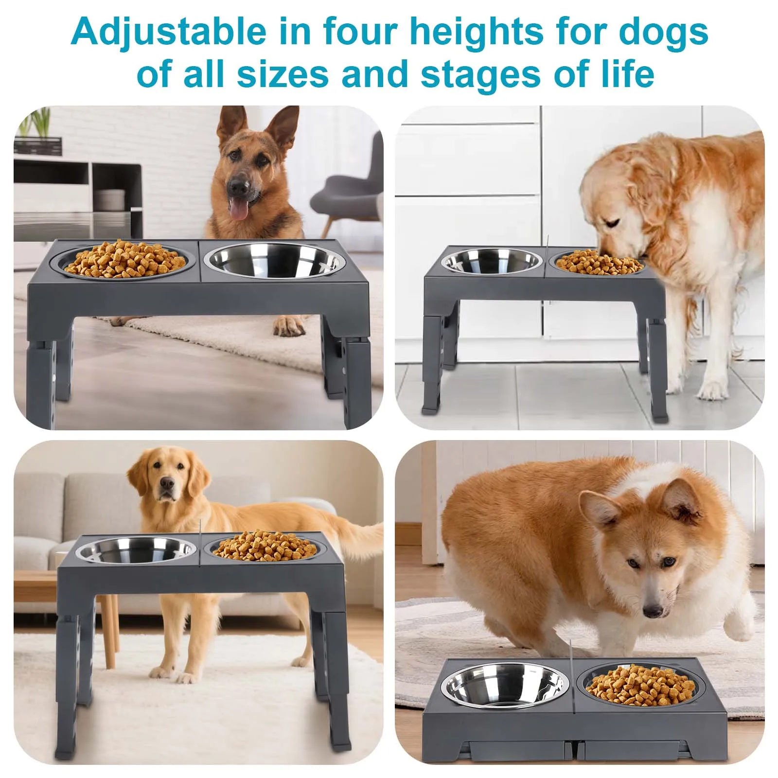 Gamelle Surélevée Réglable pour Chien avec Bols Inox – Support Anti-Glouton et Confort de Repas – Image 16
