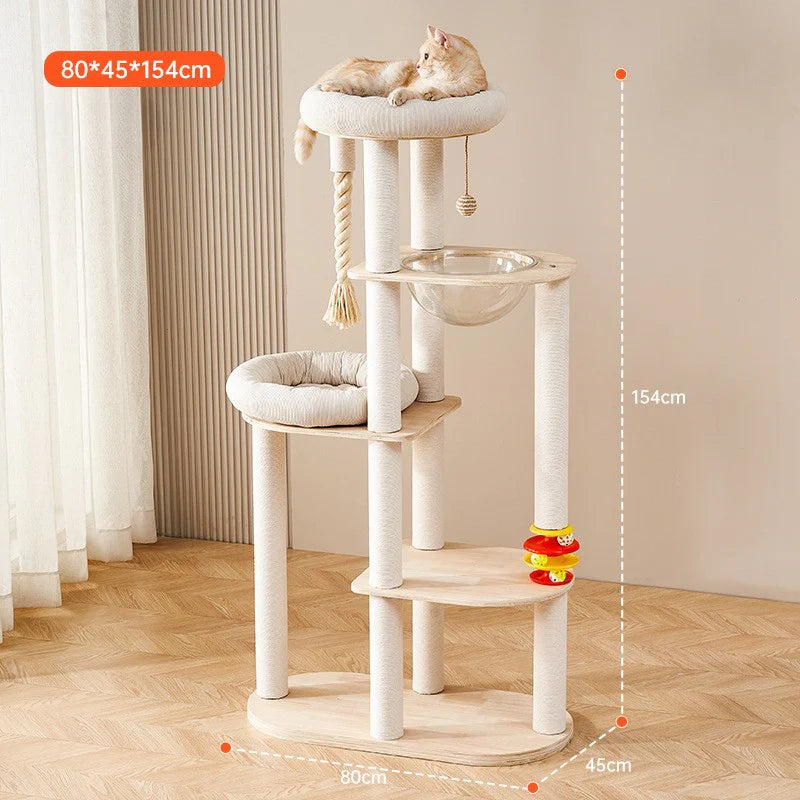 intérieur moderne chat