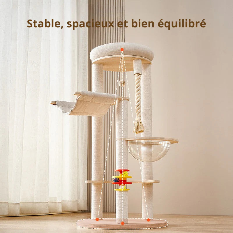 luminia chat arbre