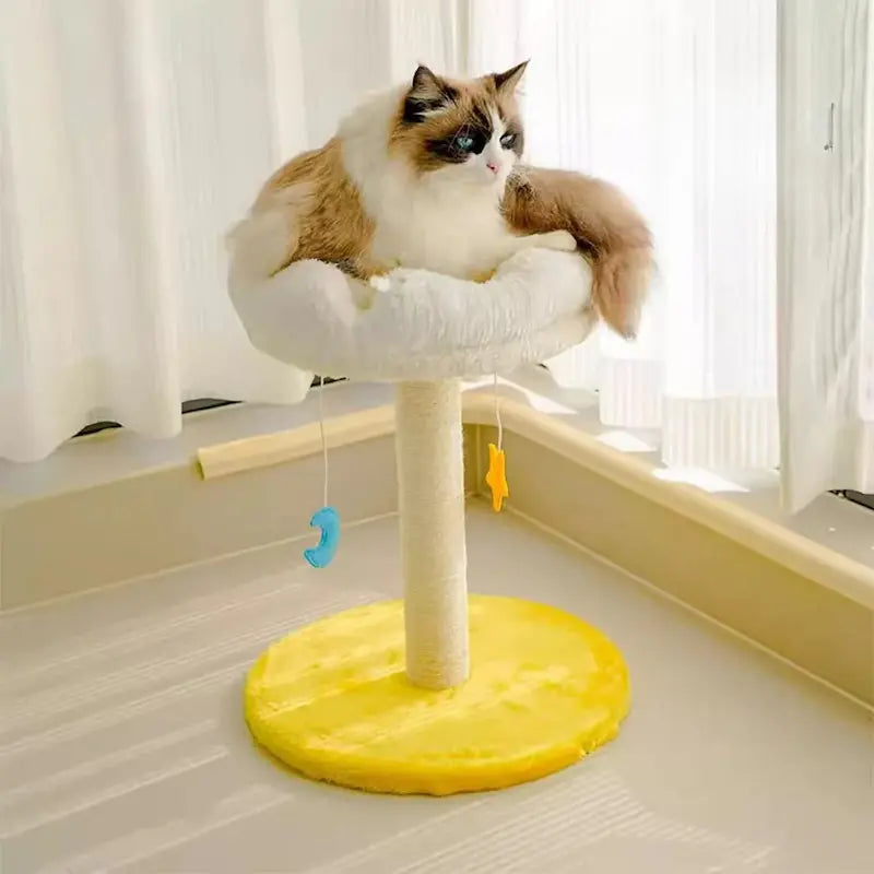 Griffoir élégant pour chat