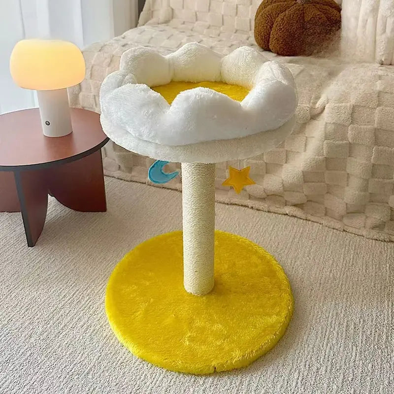 Design étoilé pour chat