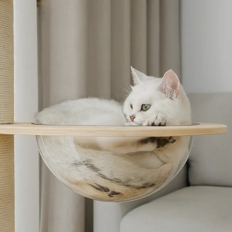 structure sécurisée pour chat