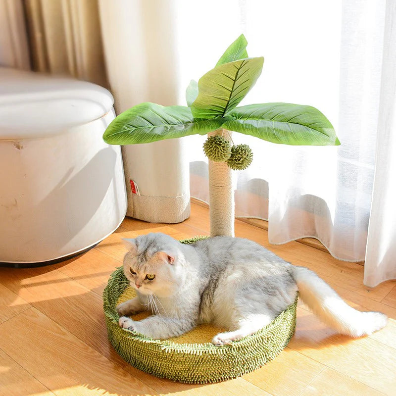 protège canapé chat