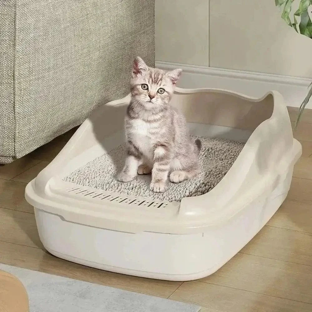 chaton utilisant litière