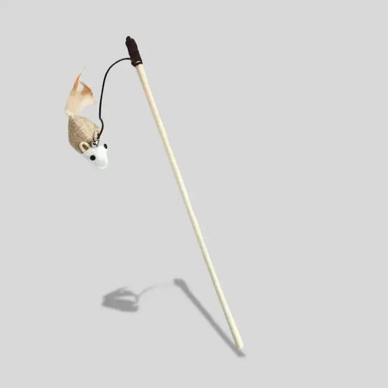 Complicité avec chat