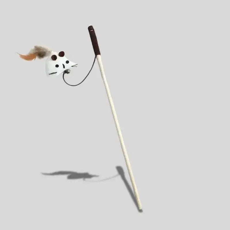 Instinct de chasse chat