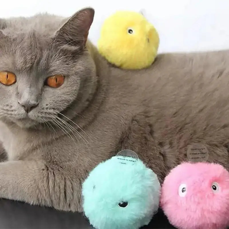 balle automatique pour chat