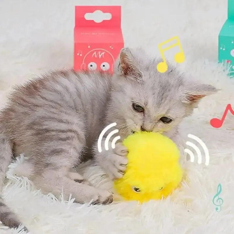 jouet anti-ennui pour chat