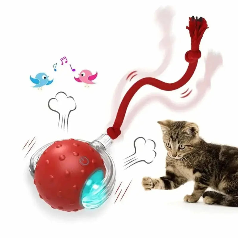 jouet lumineux pour chat