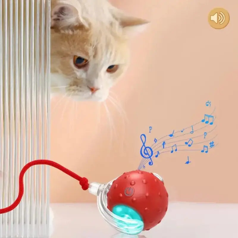 lumières balle chat