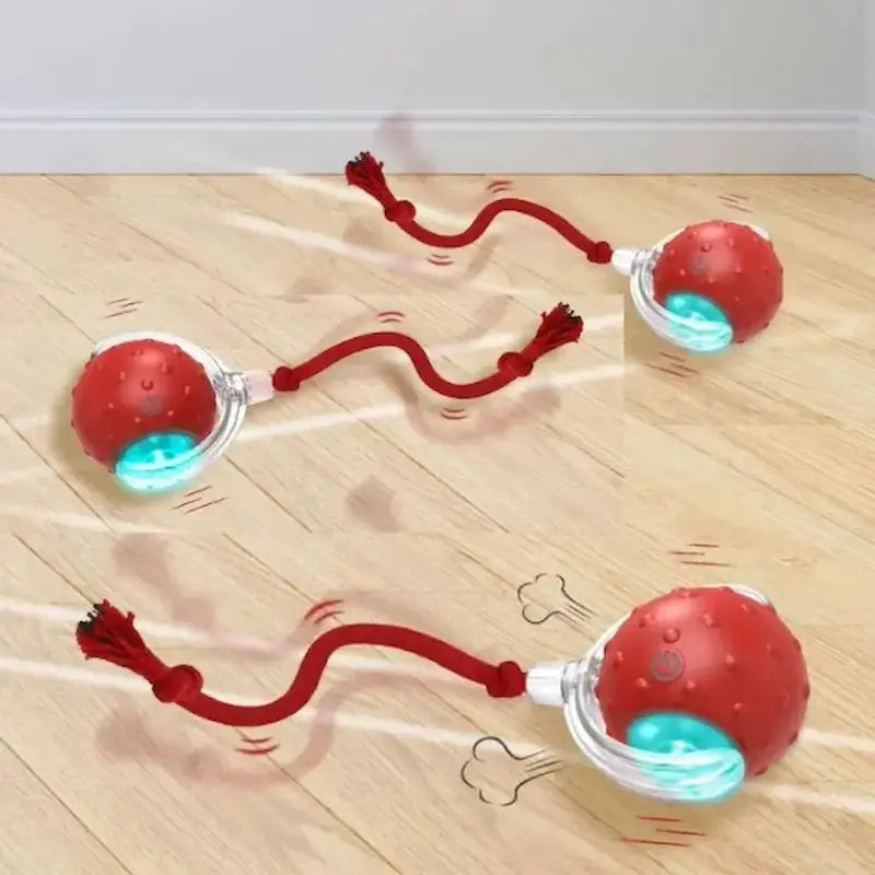 jeu chat félimagic
