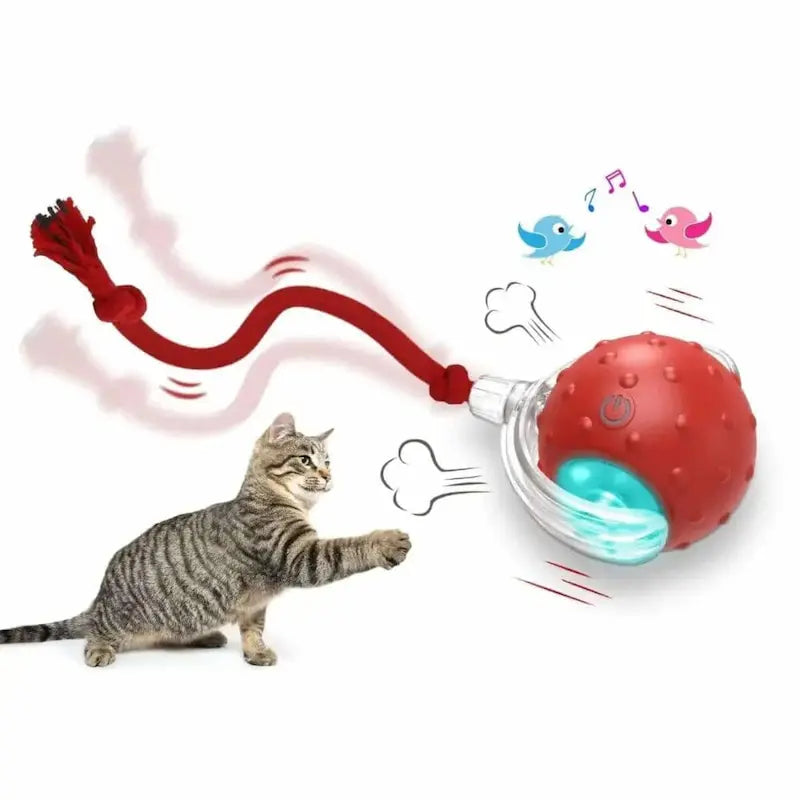 balle magique pour chat félimagic