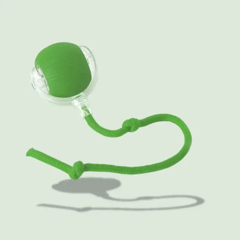 stimulateur chat lumières