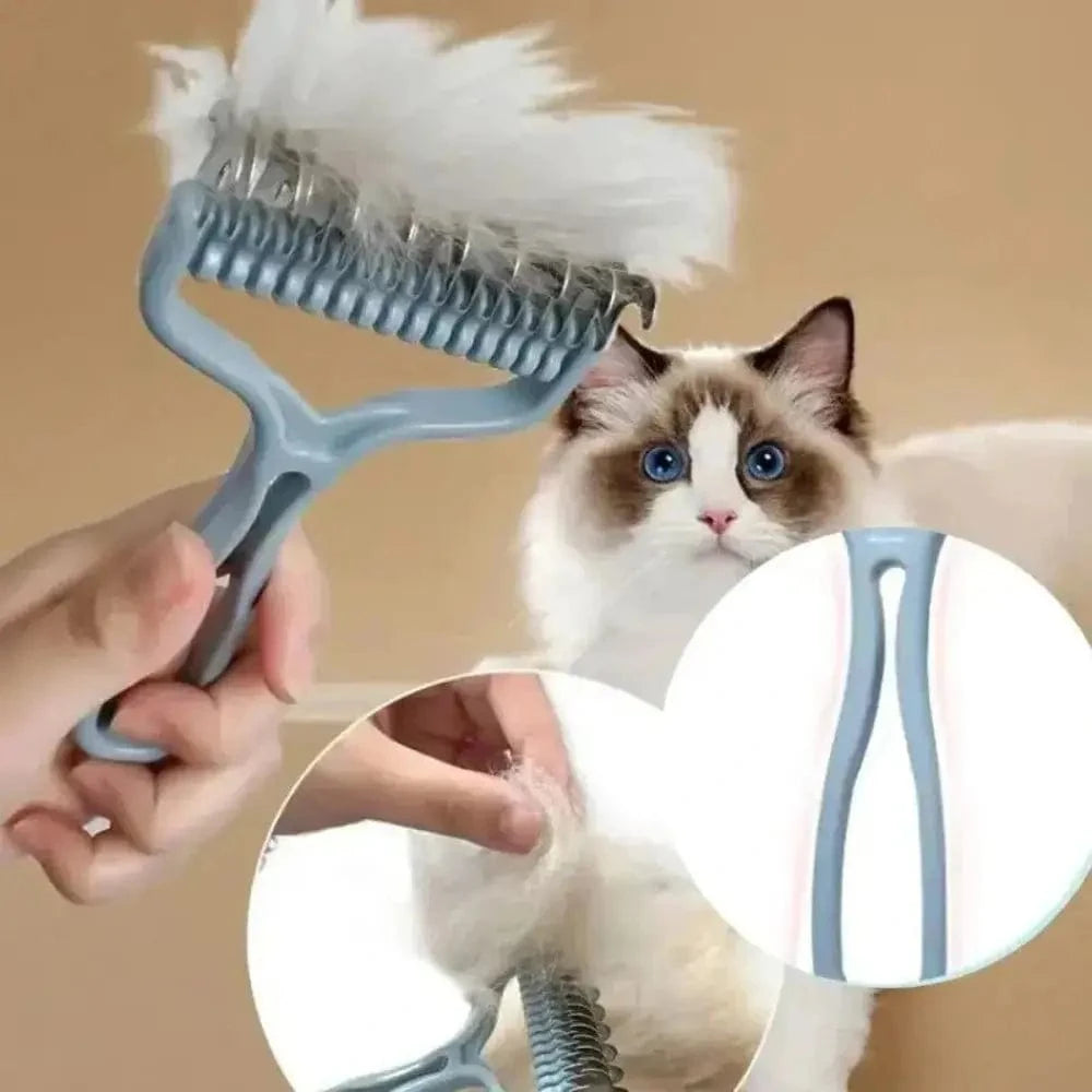 outil de toilettage chat