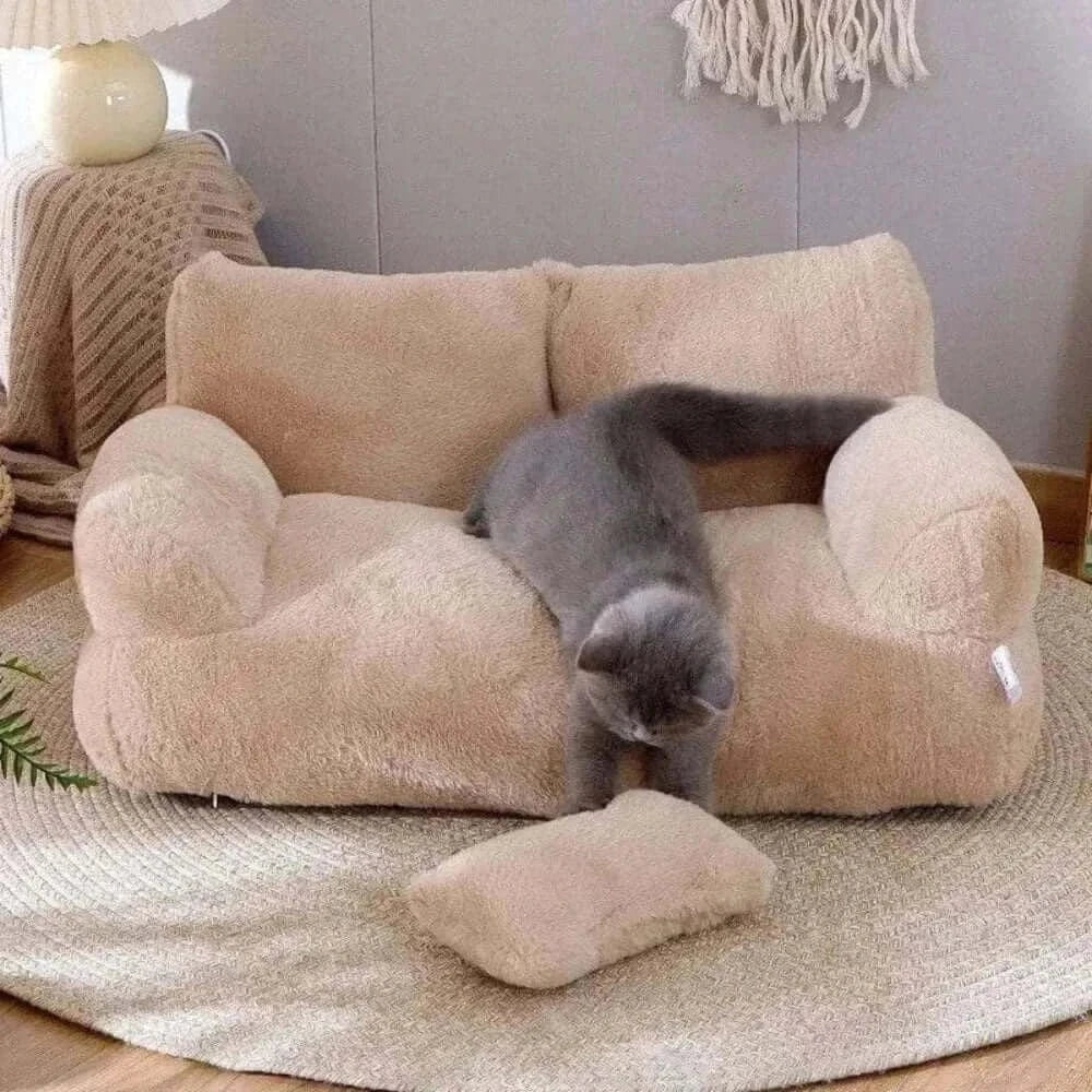 confort optimal pour chat