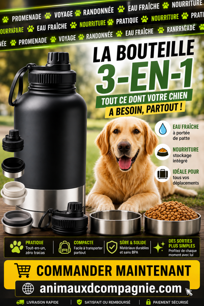 gourde chien 3 en 1 avec gamelle et compartiment nourriture