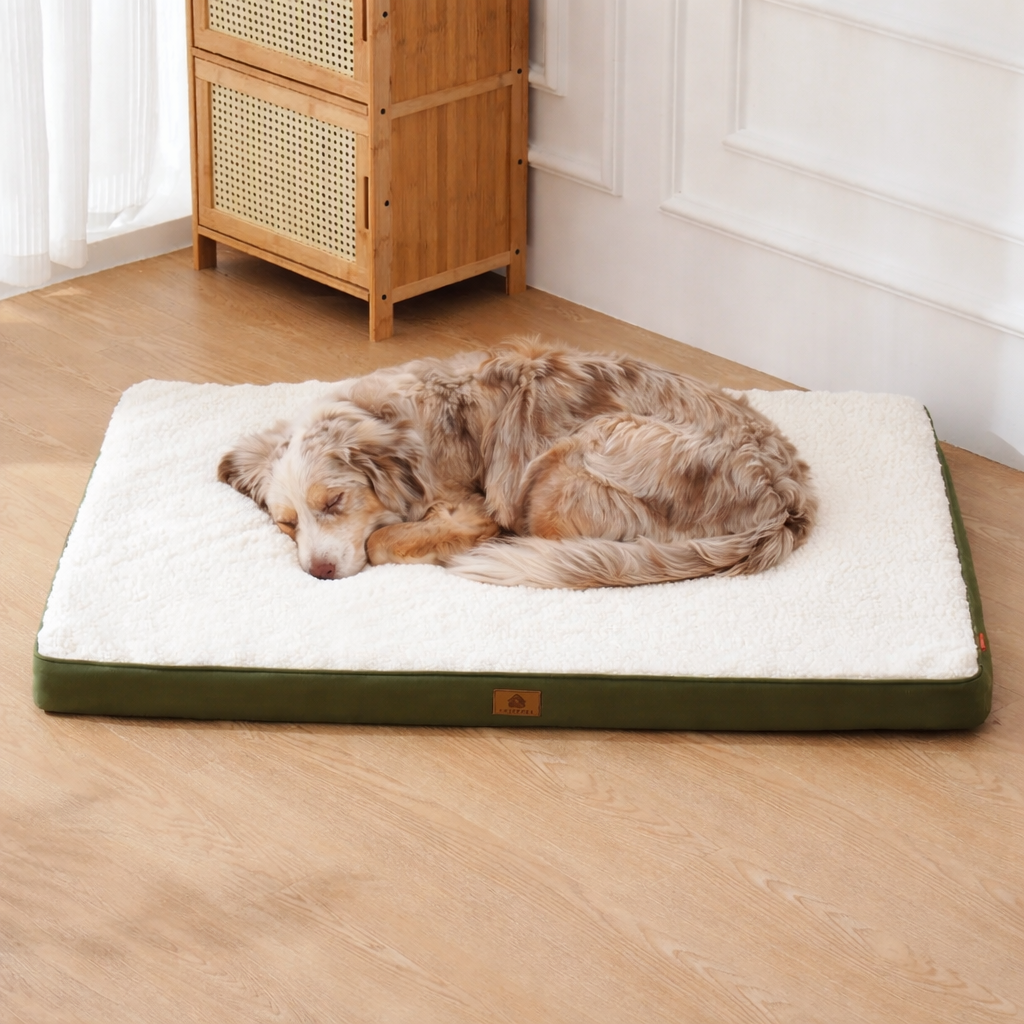 matelas chien confort