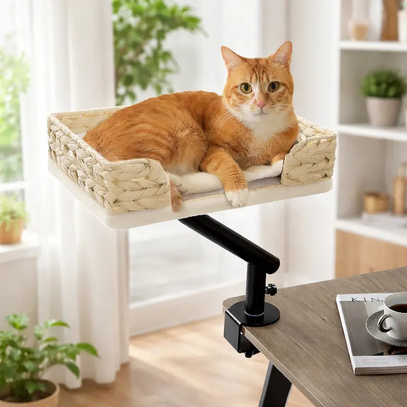 lit de bureau pour chat rotatif