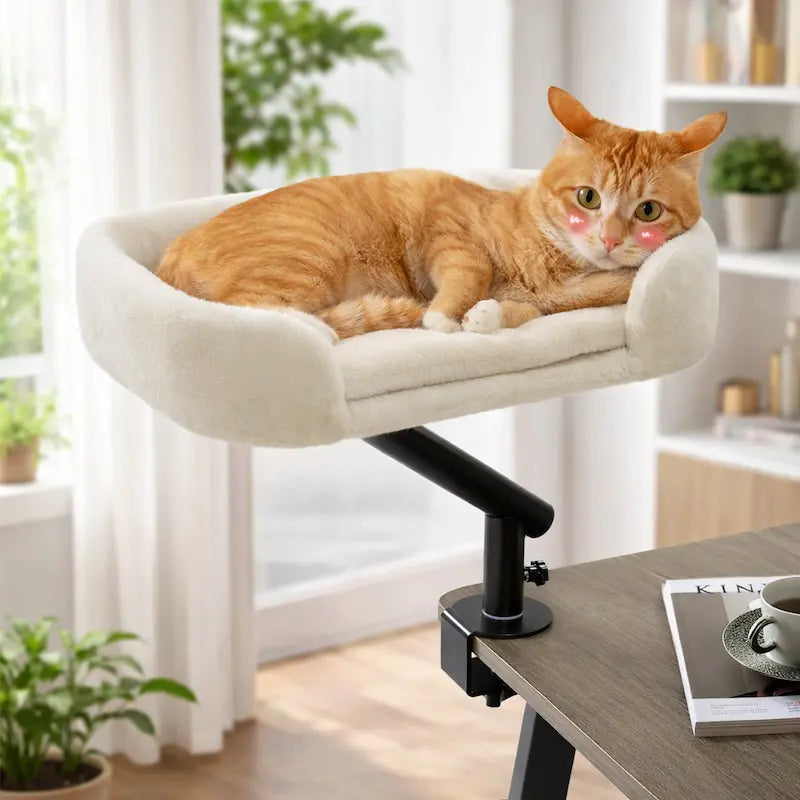 DeskCat pour chat