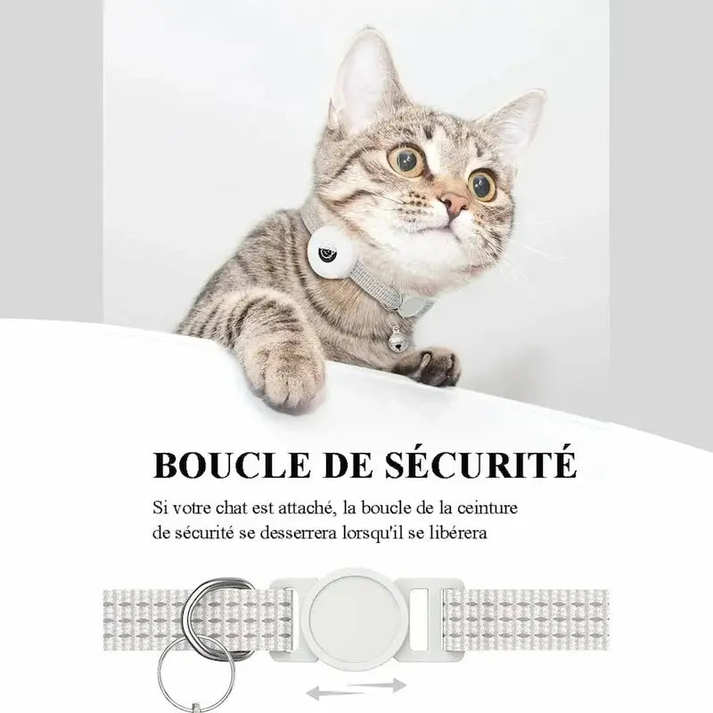 collier GPS félin sécurité