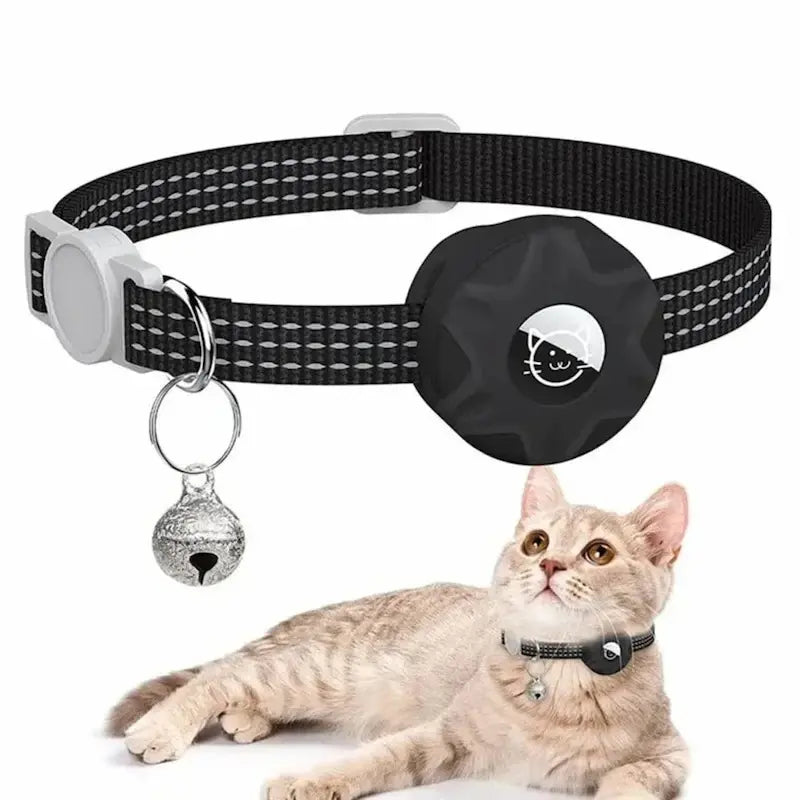 collier anti-étranglement félin