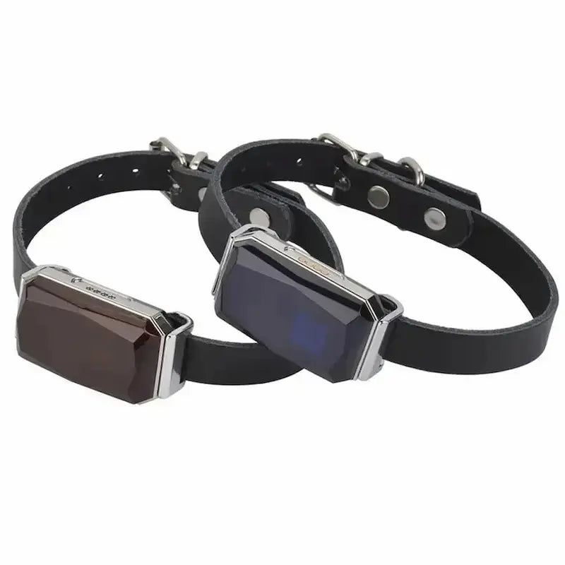 sécurité chat en cuir