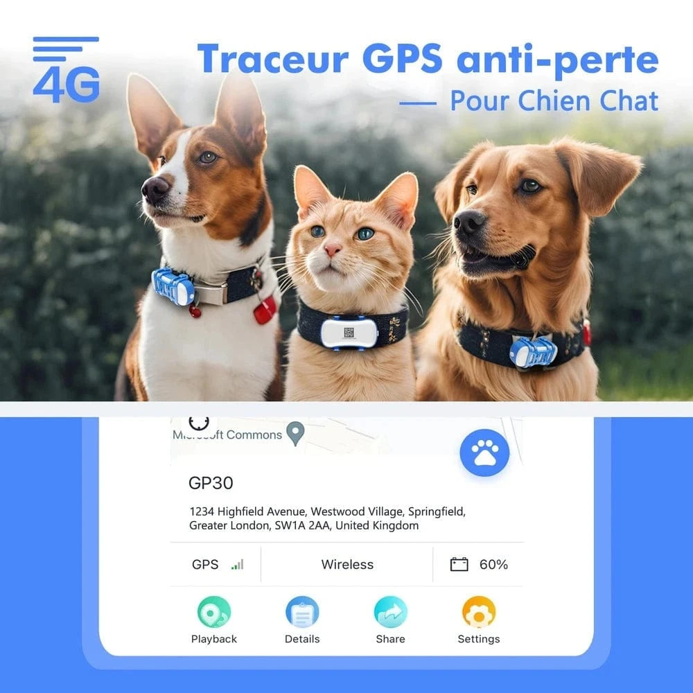 Collier GPS chat avec abonnement