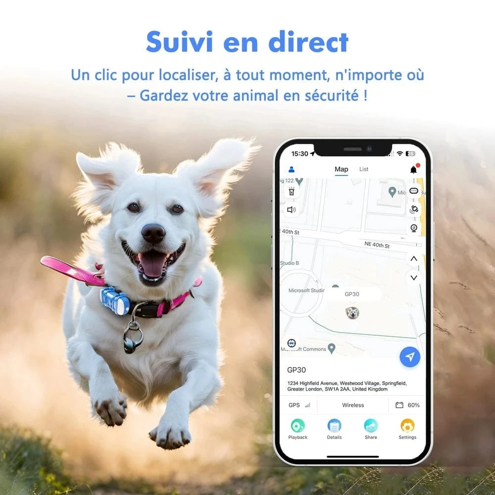 Suivi en temps réel pour chat