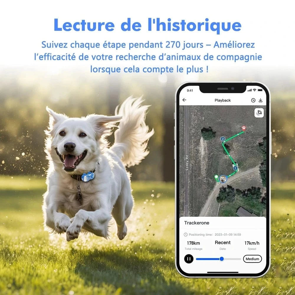 Application mobile pour chat PawLink