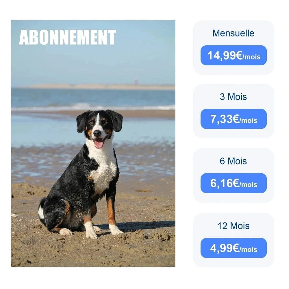 Localisation GPS pour chat