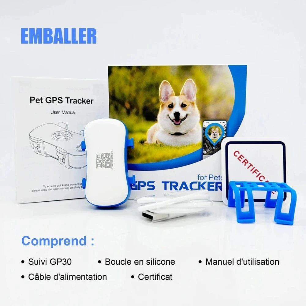 Sécurité chat PawLink