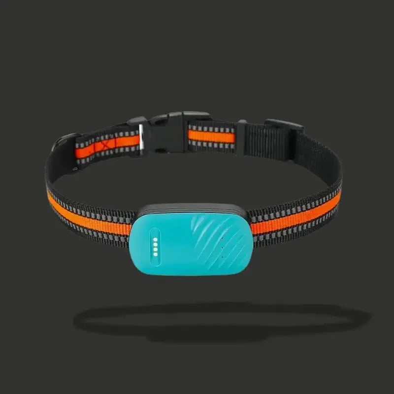 collier GPS zero fugue