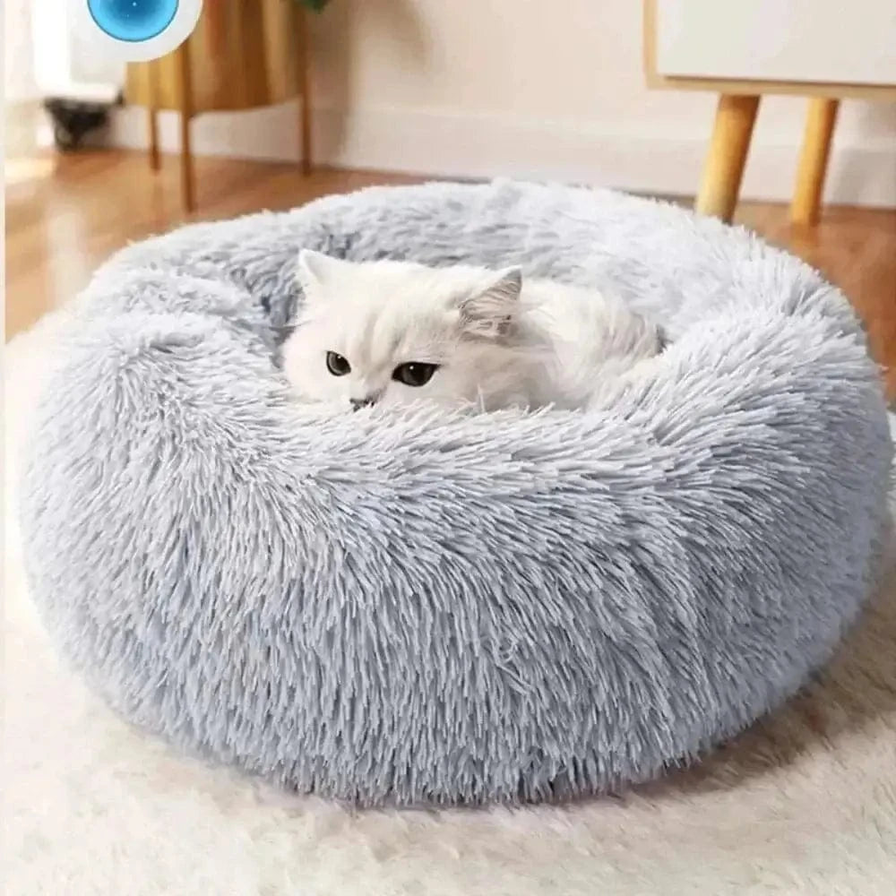 coussin apaisant chat