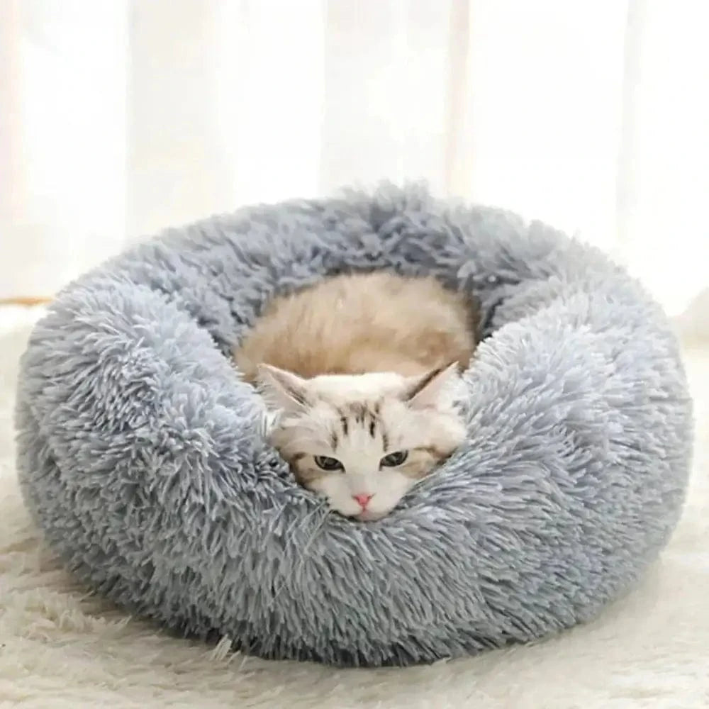 confort chat CalmPaws