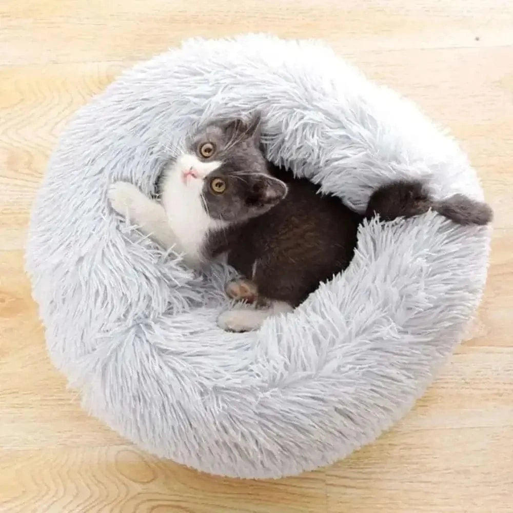 sécurité féline coussin
