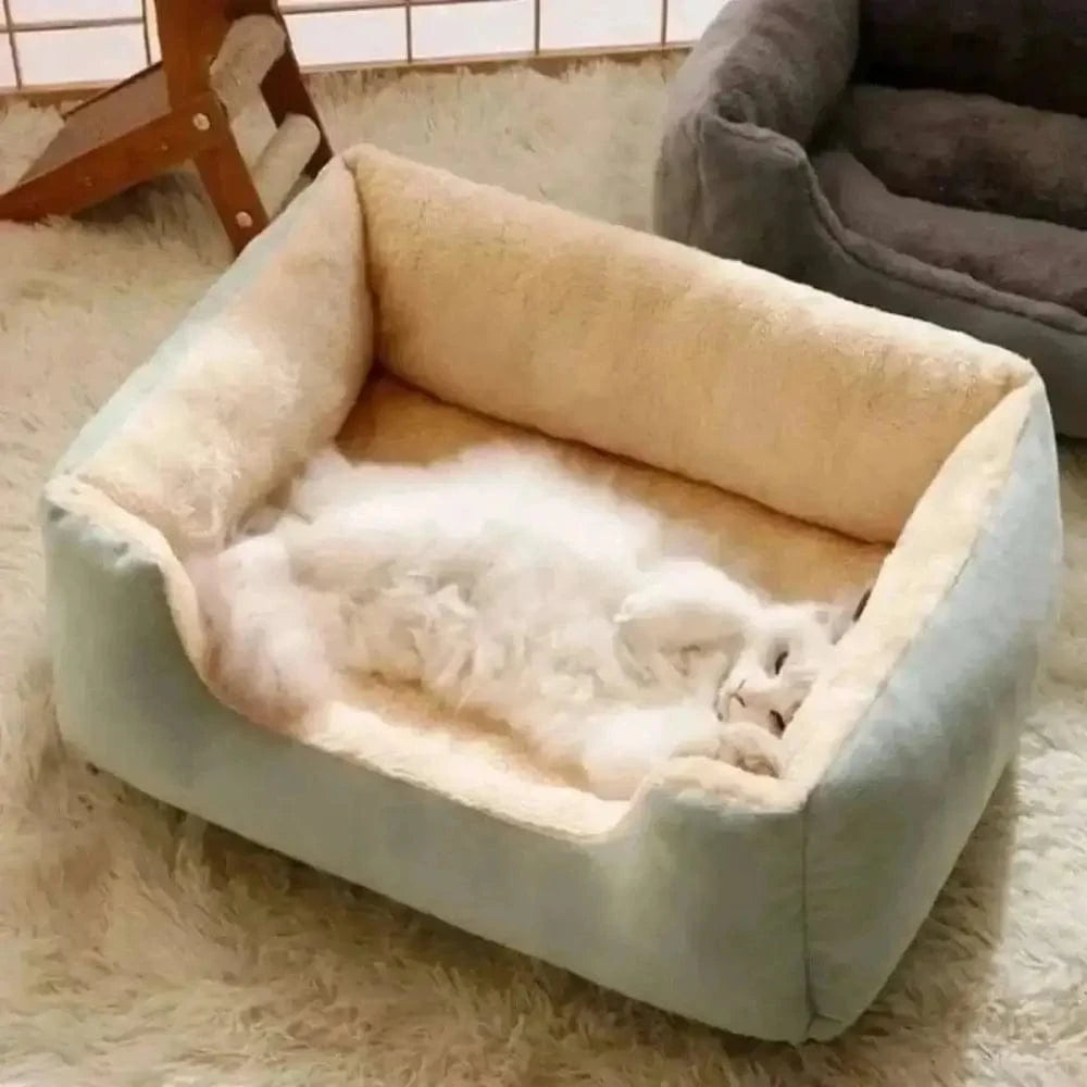 coussin rectangulaire pour chat