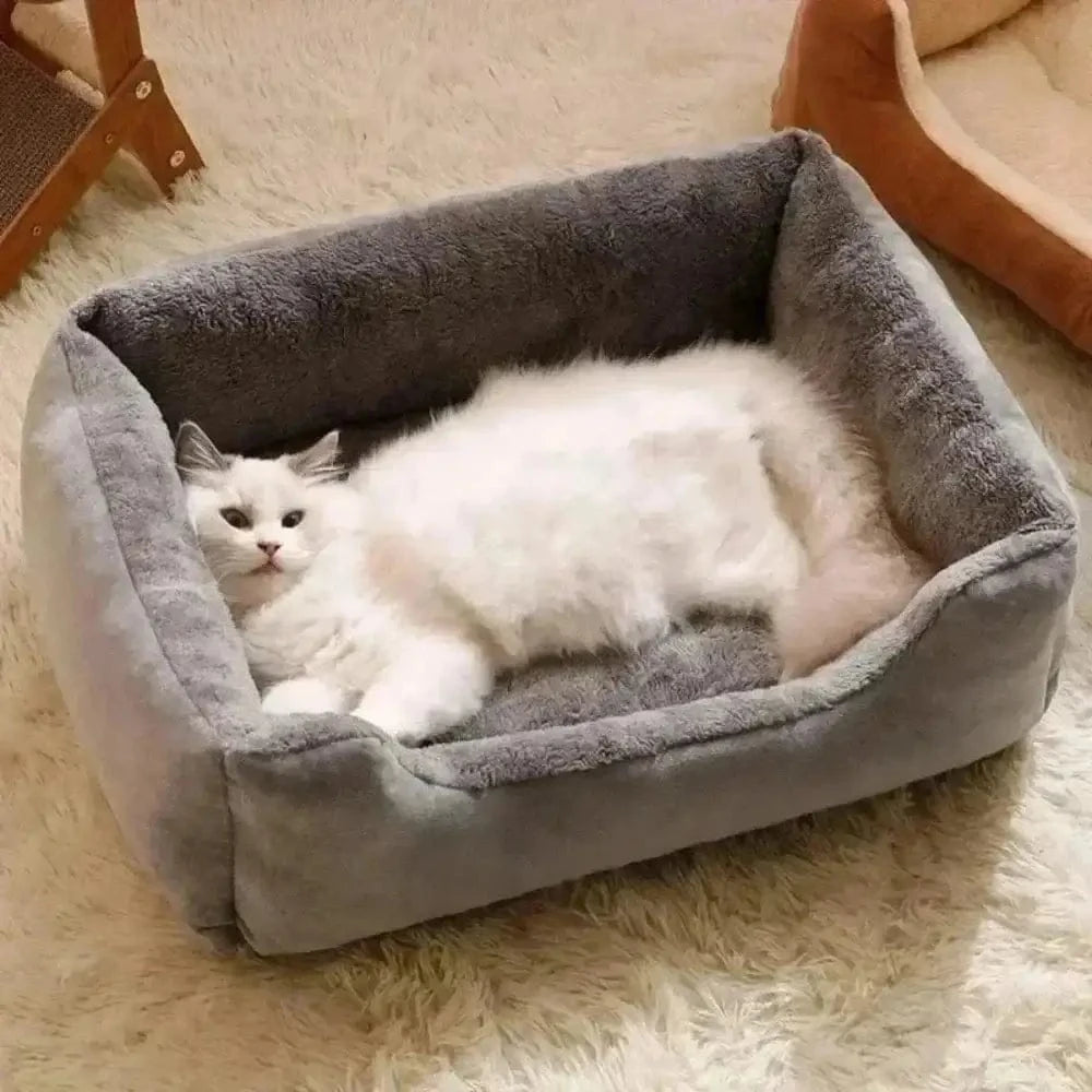 CozyRect en peluche