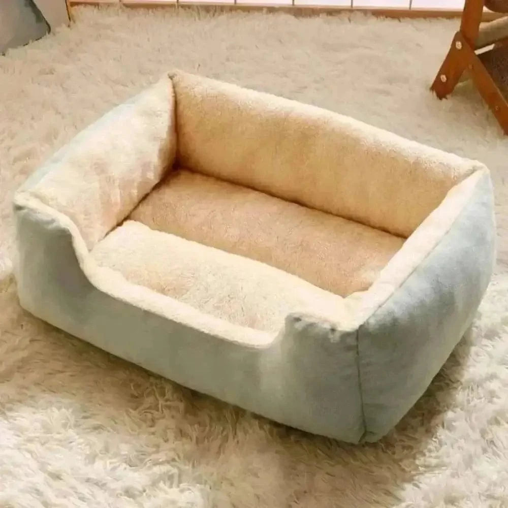 lit pour chat confortable