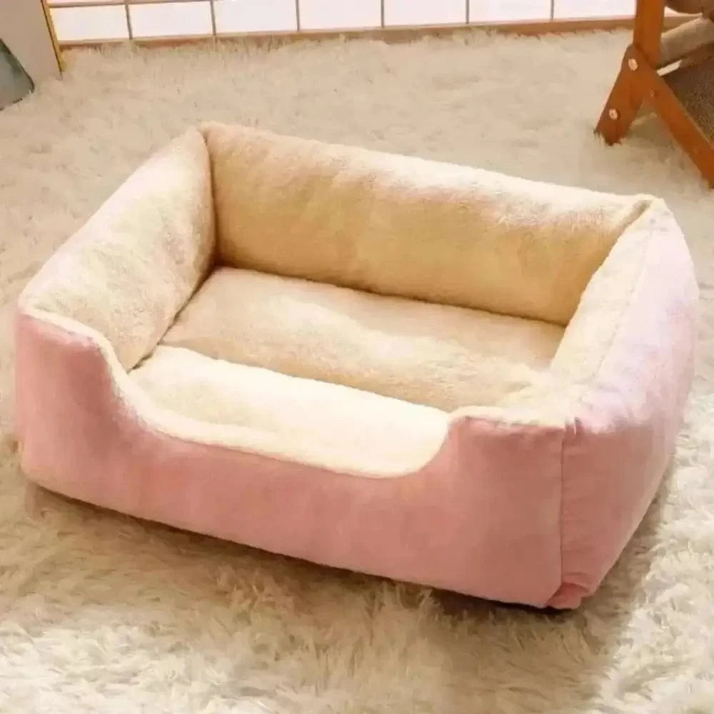 coussin chat design