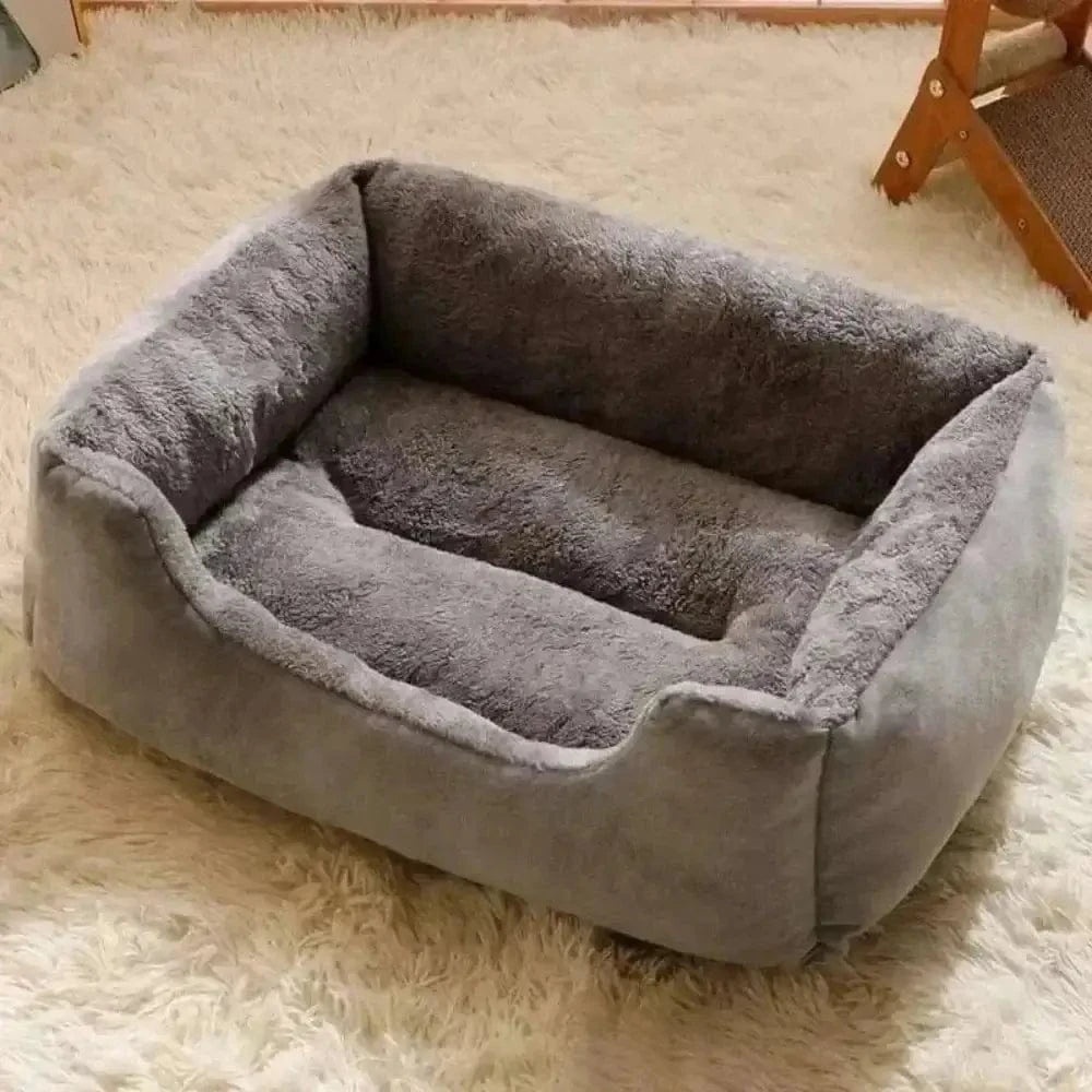 repos félin CozyRect